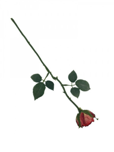 Róża gałązka 35 cm czerwona z zielonym akcentem