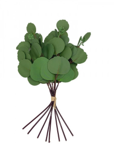 Eukaliptus gumowy wiązka 36 cm jasno zielony
