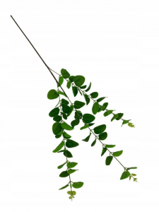 Eukaliptus gałązka 84 cm zielony
