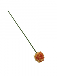 Czosnek kwiat pojedynczy 38 cm pomarańczowy