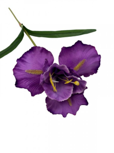 Irys kwiat pojedynczy 70 cm fioletowy