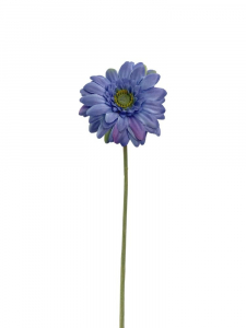 Gerbera gałązka 46 cm niebieska