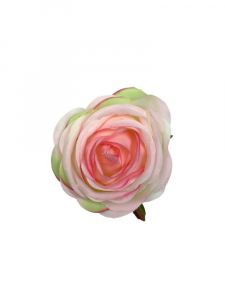 Róża główka 8 cm biała z różowymi brzegami