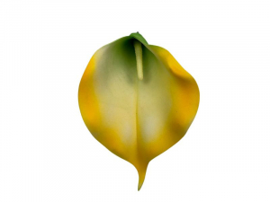 Kalia kwiat wyrobowy 18 cm kremowo żółta