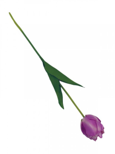 Tulipan kwiat pojedynczy 58 cm fioletowy