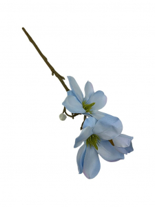 Magnolia gałązka 40 cm niebieska