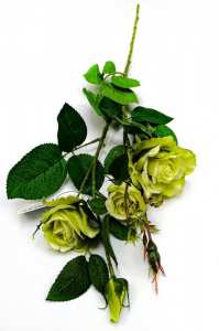 Róża kwiat pojedynczy 77 cm zielona