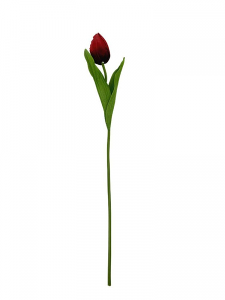 Tulipan 50 cm czerwony