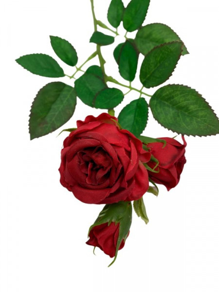 Róża kwiat pojedynczy 37,5 cm czerwona
