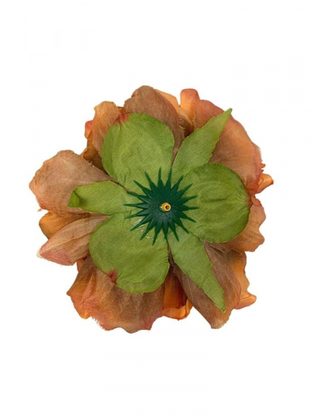 Piwonia główka 15 cm pomarańczowa z dodatkiem brązu i zieleni