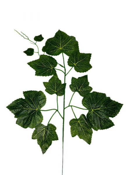 Liść winogrona 54 cm zielony