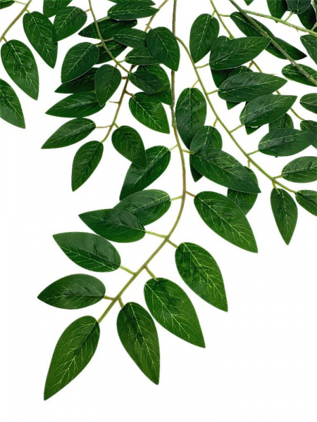 Liść akacji 68 cm zielony