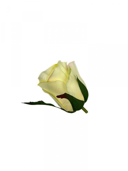 Róża główka 5 cm waniliowa