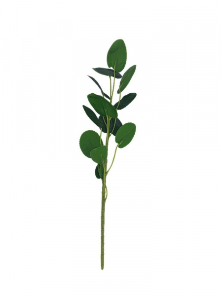 Pilea gałązka z listkami 35 cm zielona