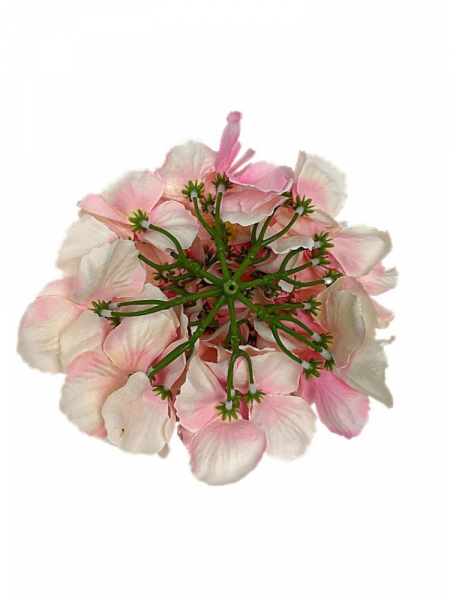 Hortensja główka XL 20 cm jasny róż z kremowym