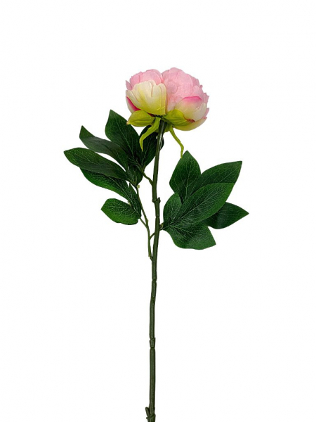 Piwonia gałązka 66 cm jasny róż