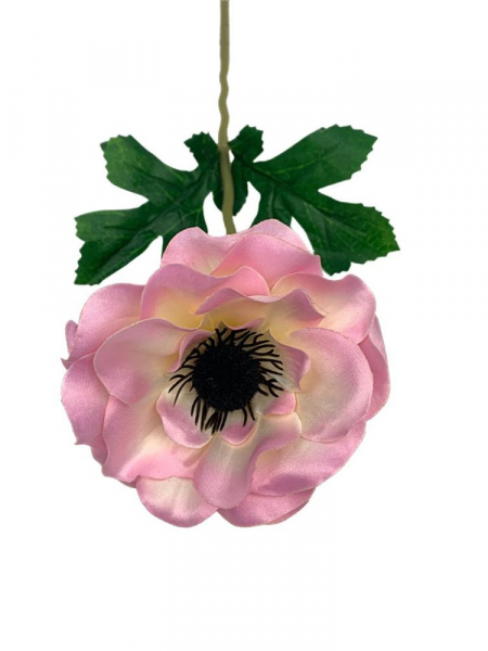 Anemon gałązka 50 cm jasny róż z kremowym