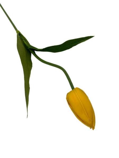 Tulipan kwiat pojedynczy 55 cm intensywnie żółty