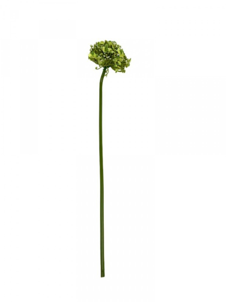 Kalina gałązka 41 cm zielona