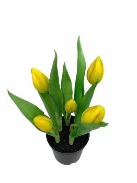 Tulipany gumowe w doniczce 24 cm żółte