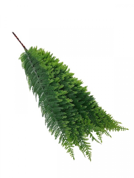 Liść paproci 60 cm zielony omszony