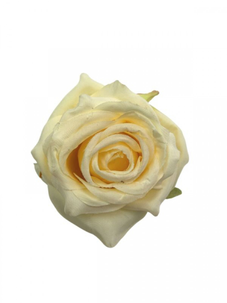 Róża główka 9 cm kremowa