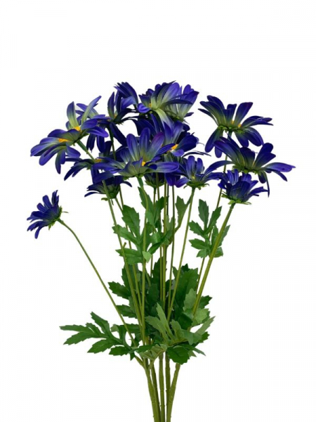 Margaretka kwiat pojedynczy 58 cm ciemno niebieska