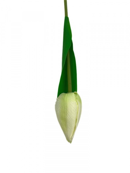 Tulipan gałązka 35 cm kremowy z dodatkiem jasnej zieleni