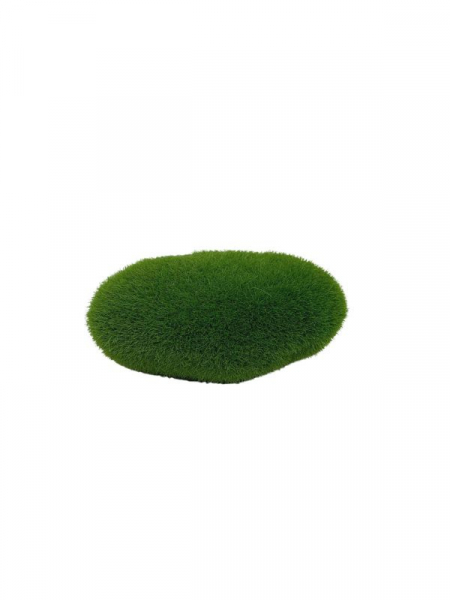 Kamień omszony 10 cm zielony