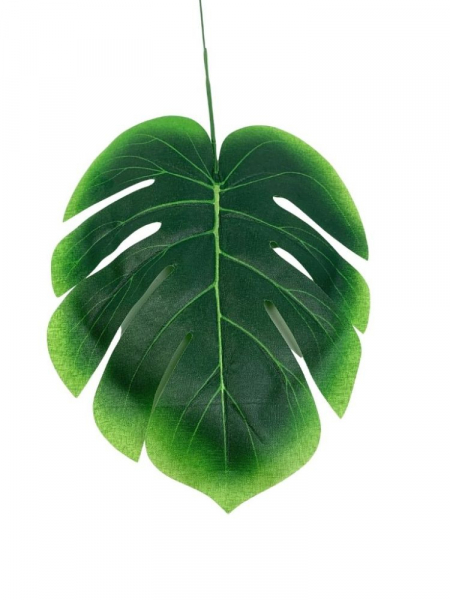 Monstera liść cieniowany 45 cm zielony
