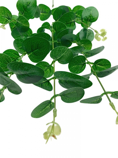 Eukaliptus 65 cm zielony