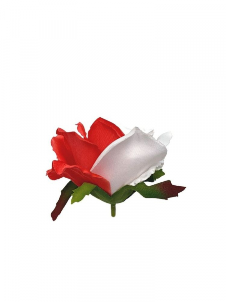 Róża główka 10 cm biało czerwona