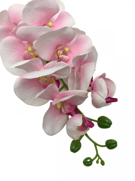 Storczyk kwiat pojedynczy 100 cm kremowo różowy