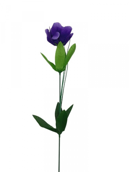 Irys kwiat pojedyczy 50 cm fioletowy