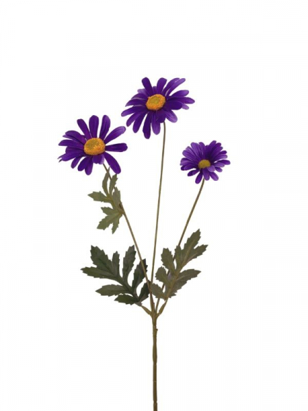 Margaretka kwiat pojedynczy 58 cm fioletowa