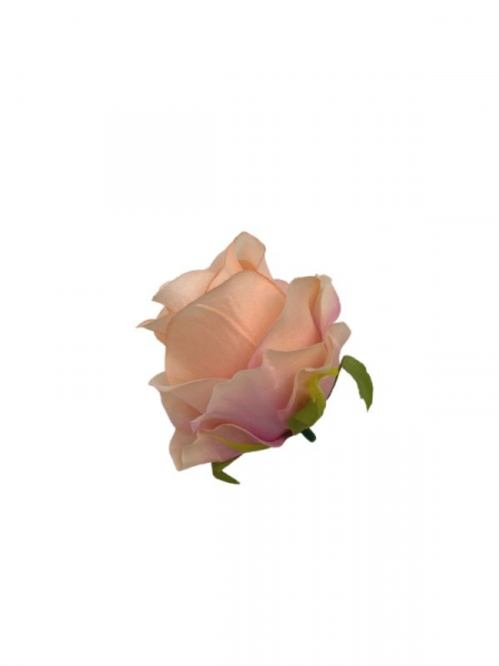 Róża główka 8 cm jasno brzoskwiniowa