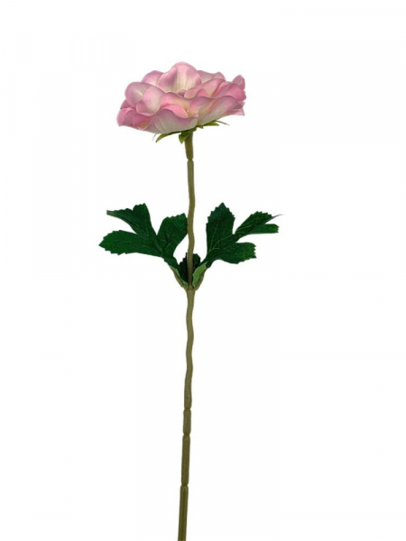 Anemon gałązka 50 cm jasny róż z kremowym