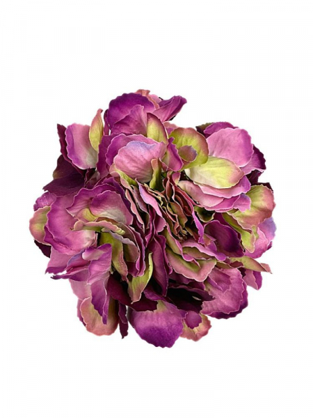 Hortensja główka XL 20 cm fiolet z zielonym