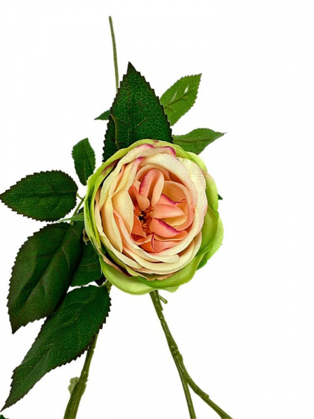 Róża gałązka 70 cm łososiowa z zielonym