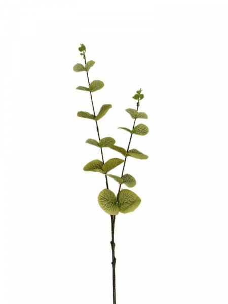 Eukaliptus gałązka 64 cm zielony