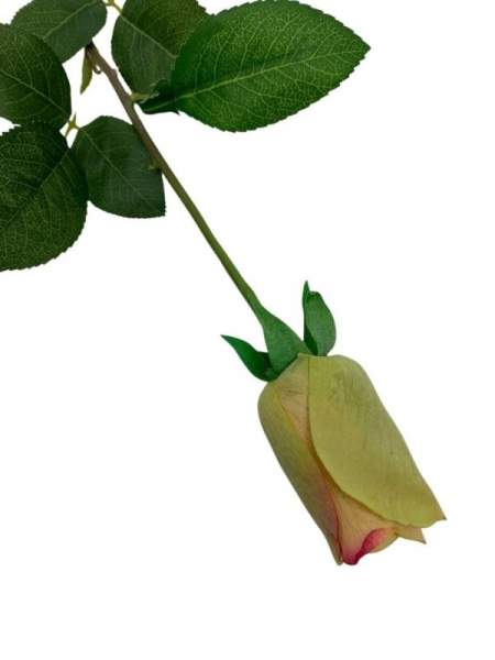 Róża kwiat pojedynczy 67 cm zielona