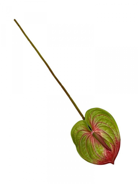 Anturium kwiat pojedynczy silikonowy 62 cm jasna zieleń z czerwonym