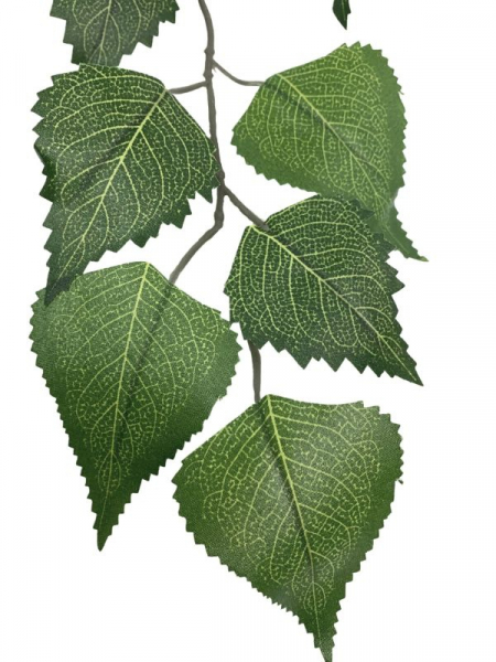Liść brzozy 58 cm zielony