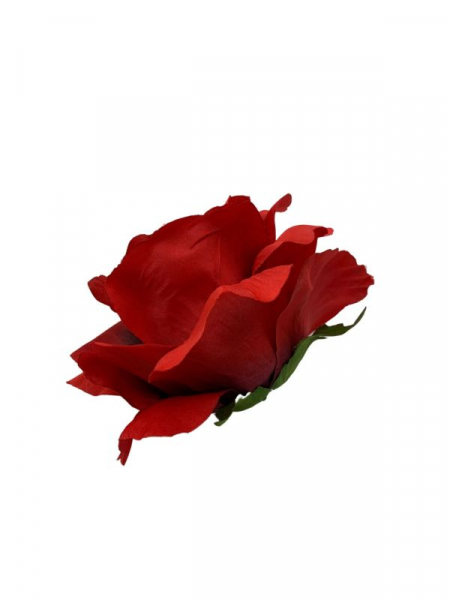 Róża gigant główka 20 cm czerwona