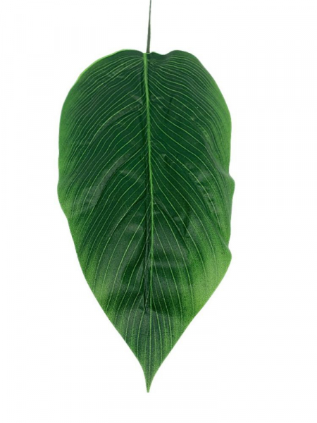 Liść zielony 47 cm