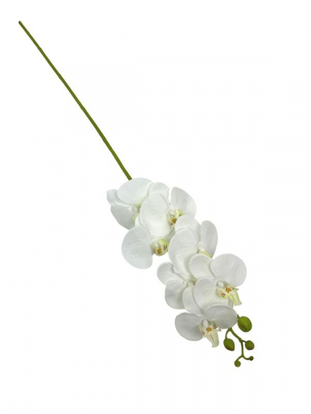 Storczyk kwiat pojedynczy 90 cm biały