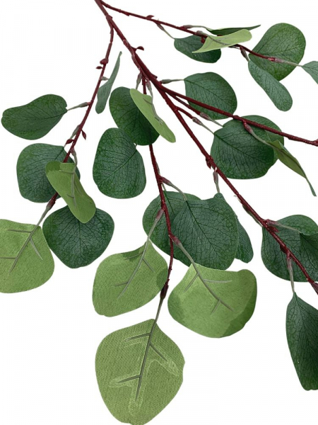 Eukaliptus gałązka 56 cm zielony