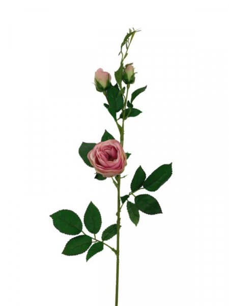 Róża gałązka 70 cm różowo zielona