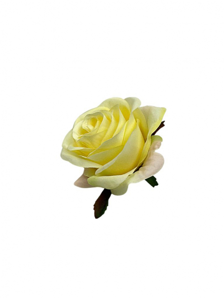 Róża główka 9 cm waniliowa