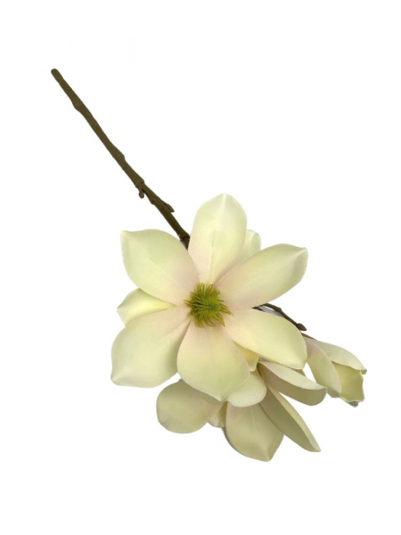 Magnolia kwiat pojedynczy 40 cm waniliowa